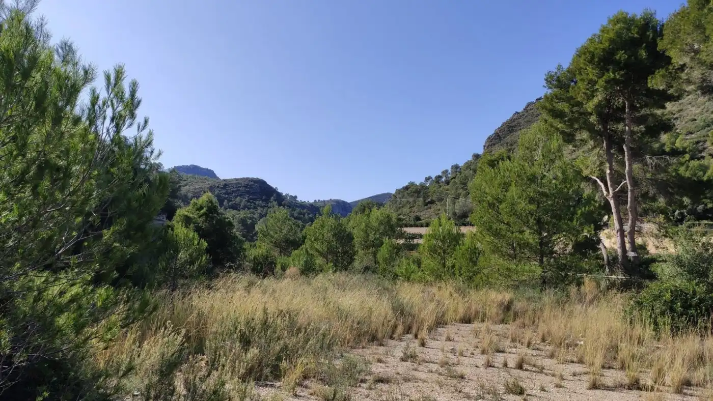 Finca rústica en venta en L'Atzúbia