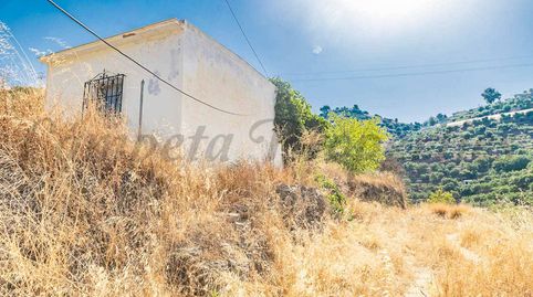 Foto 4 de Finca rústica en venda a Torrox Pueblo, Torrox