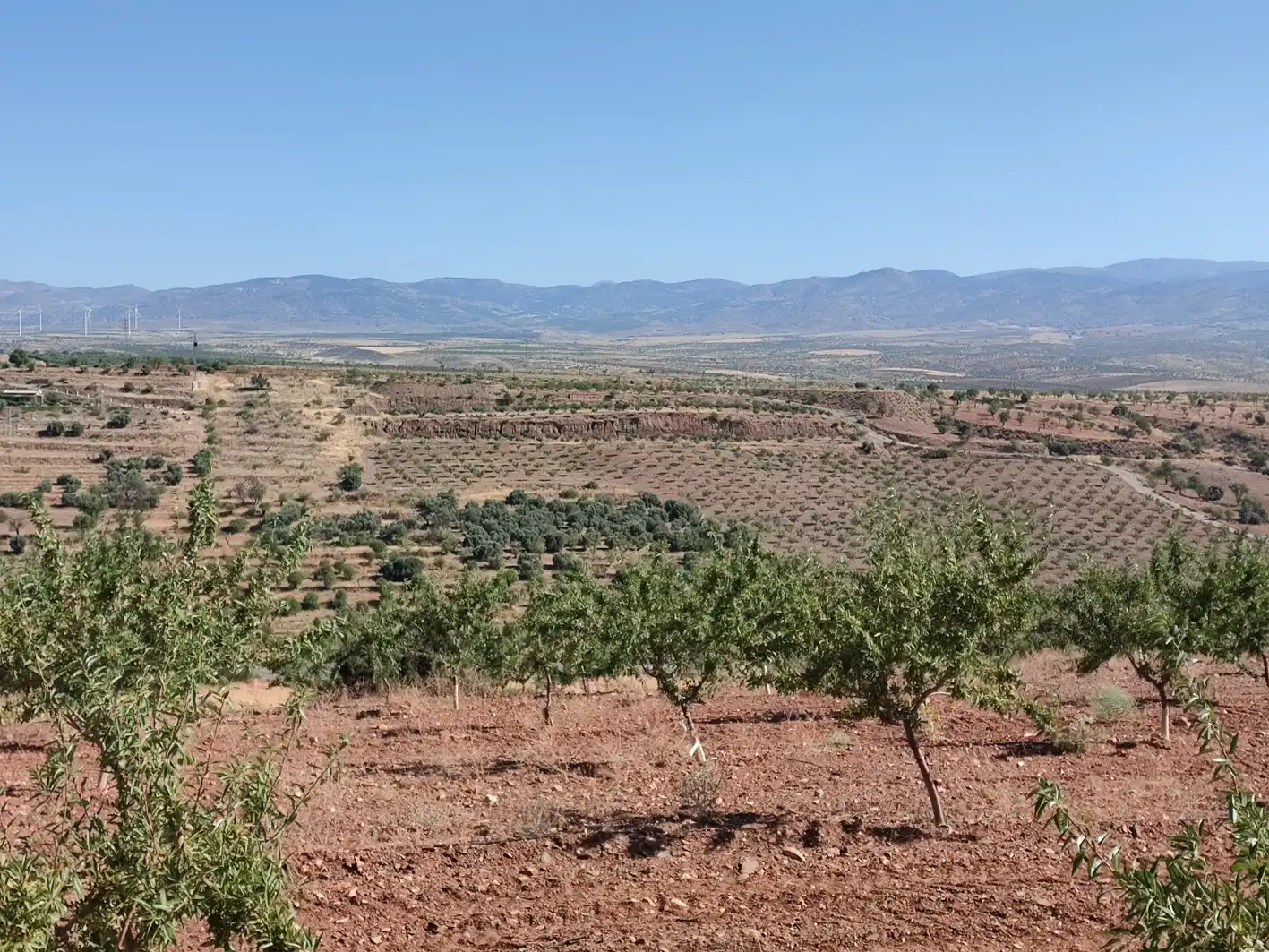 Land for sale in Huéneja