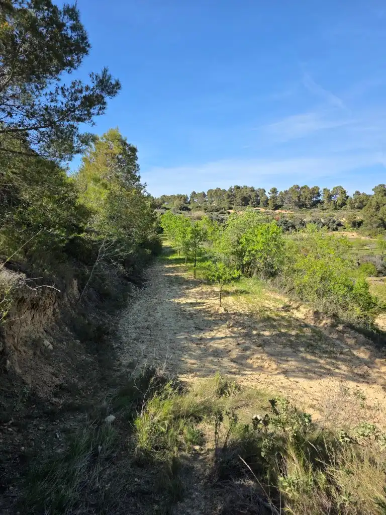 Terreno rustico in vendita a Caseres, imagen 3