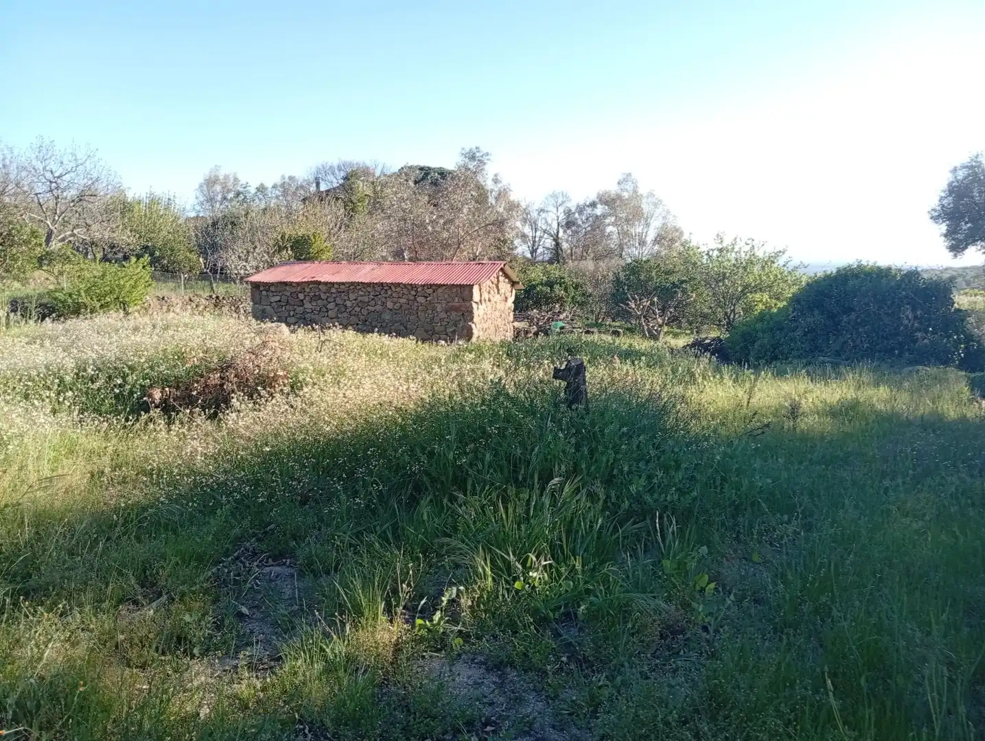 Terreno en venta en Valverde de la Vera