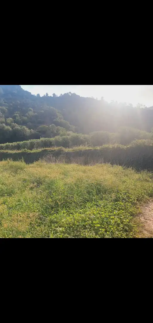 Terreno rústico en venta en Benifallet, imagen 6