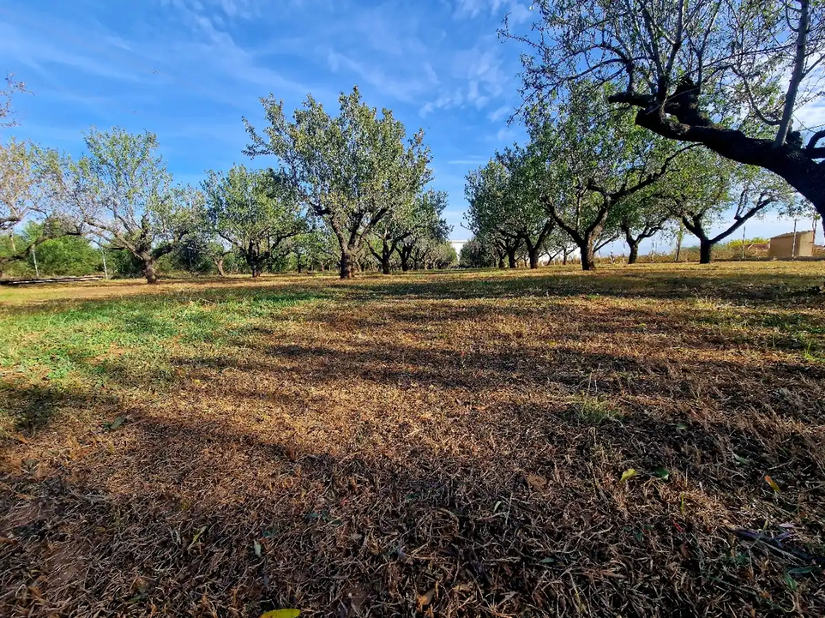 Terrain rustique à vendre à Camí de Perafita 71, imagen 5