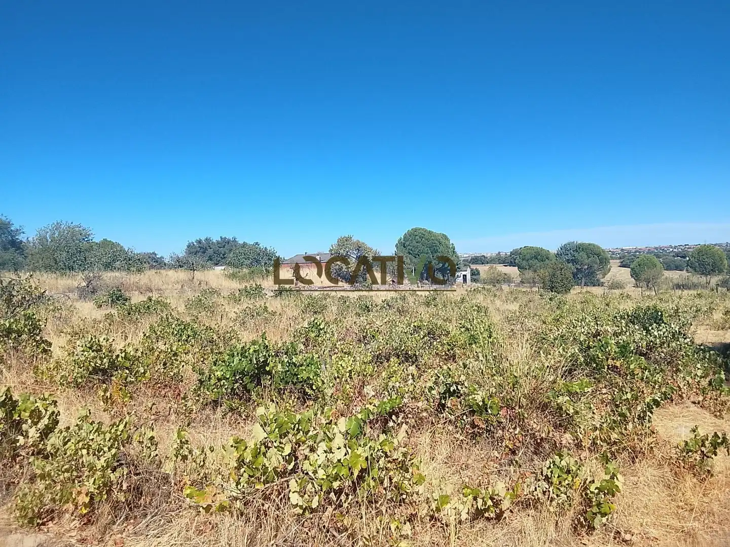 Terreno rustico in vendita a La Dehesa - El Pinar, imagen 35