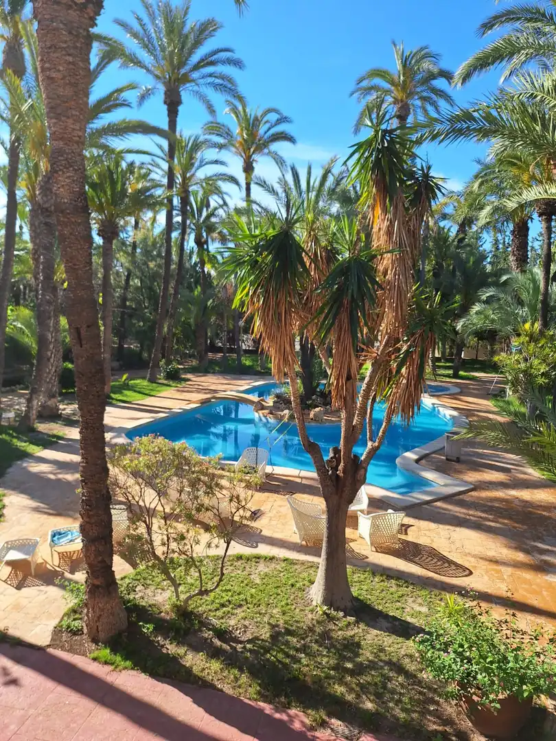 Piscina de Casa o chalet en venta en Elche / Elx