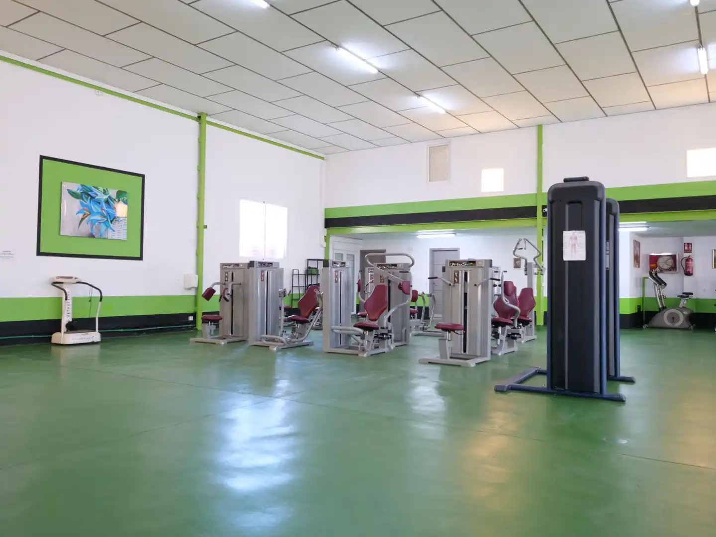 Nave industrial en venta en Almoradí
