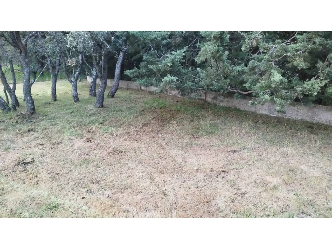 Terreny rústic en venda a Villavieja del Lozoya, imagen 7