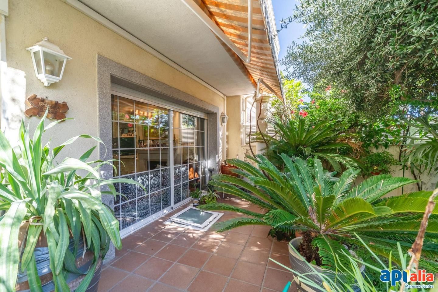 Jardí de Casa o xalet en venda en Premià de Mar amb Jardí privat, Terrassa i Balcó