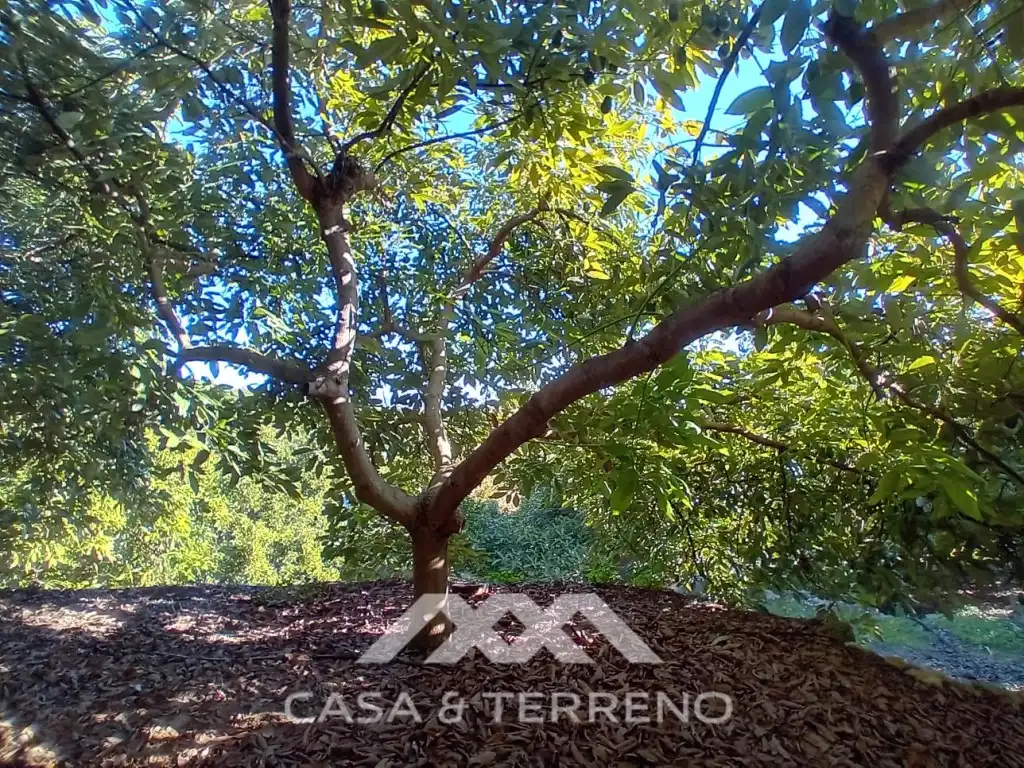 Casa o xalet en venda en Alozaina amb Piscina