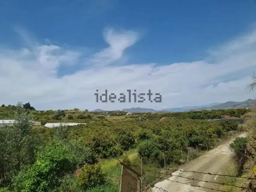 Terrain rustique à vendre à Vélez-Málaga ciudad, imagen 4
