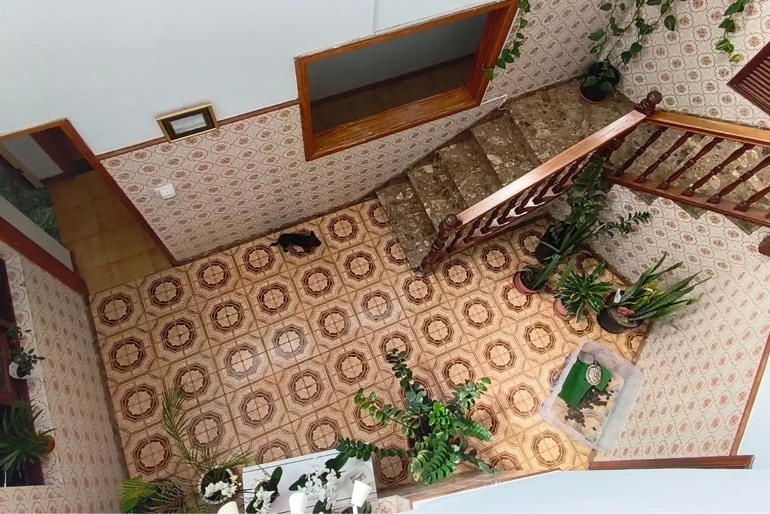 Detached homes for sale in Agaete, Las Palmas