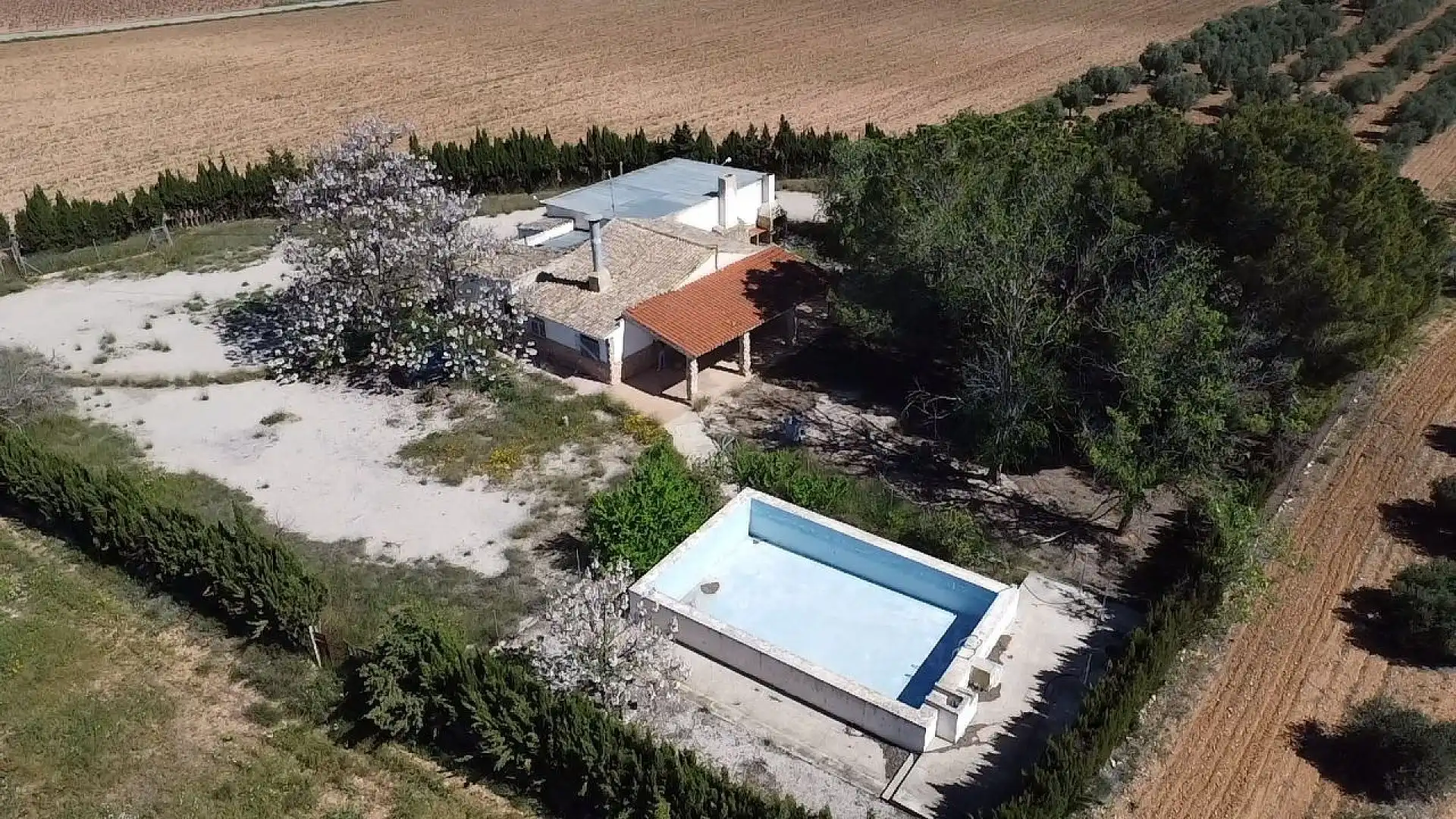 Swimming pool of Houses for sale in Yecla  with Terrace