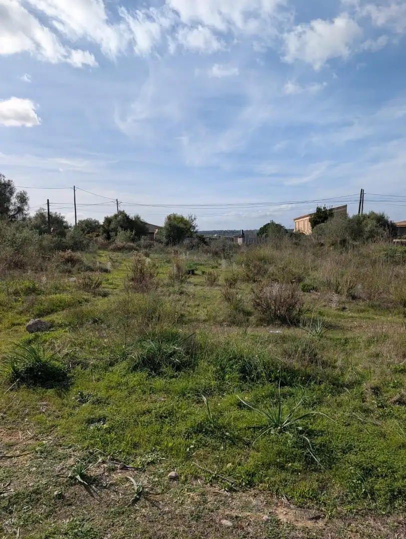 Terrain rustique à vendre à Sineu, imagen 2