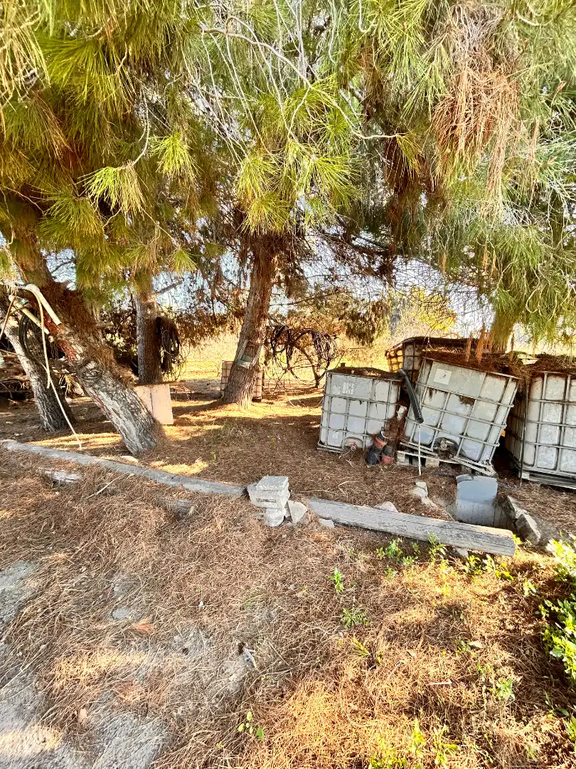 Vista exterior de Casa o xalet en venda en Elche / Elx amb Jardí privat i Moblat