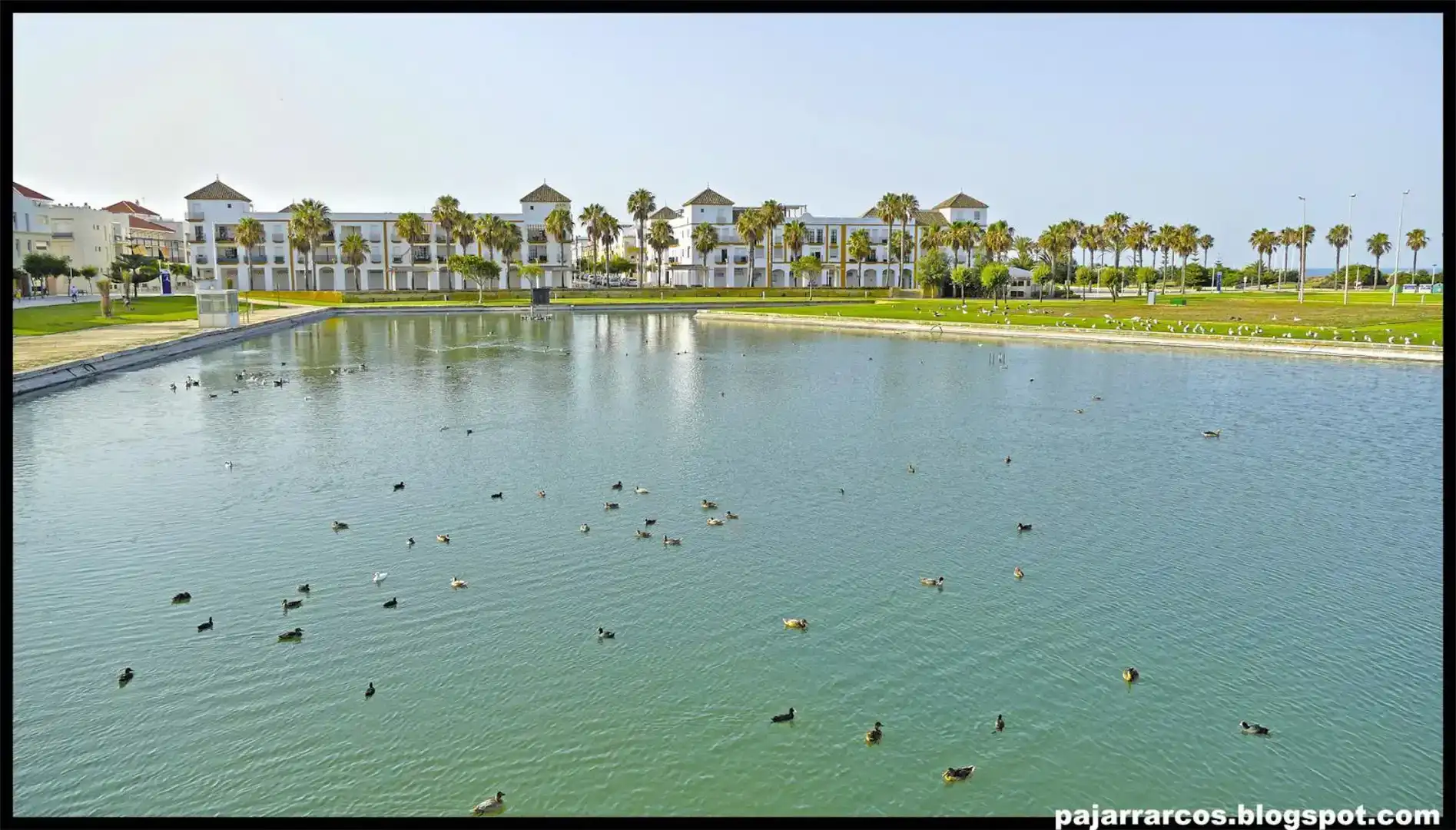 Swimming pool of Flat for rent in Las Tres Piedras - Costa Ballena