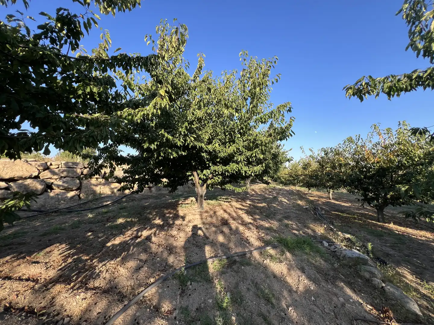 Terreni e lotti in vendita a Garganta la Olla, imagen 18