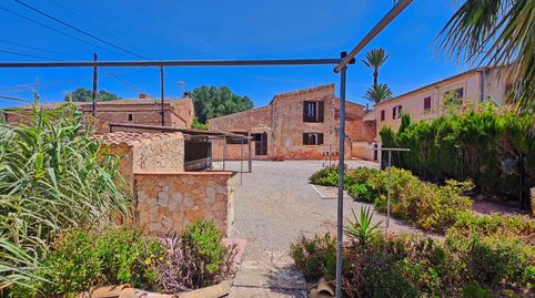 Foto 4 de Casa o xalet de lloguer a Ses Salines Poble, Ses Salines