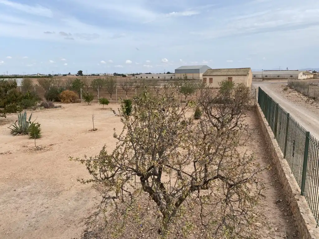 Detached homes for sale in Balsapintada - El Estrecho