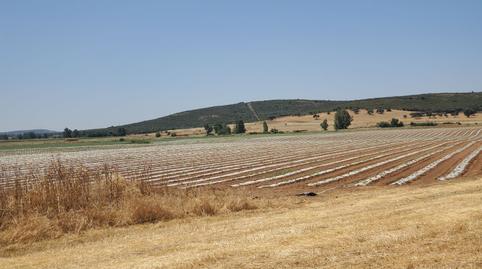 Photo 2 of Country house for sale in Nuevo Hospital, Ciudad Real