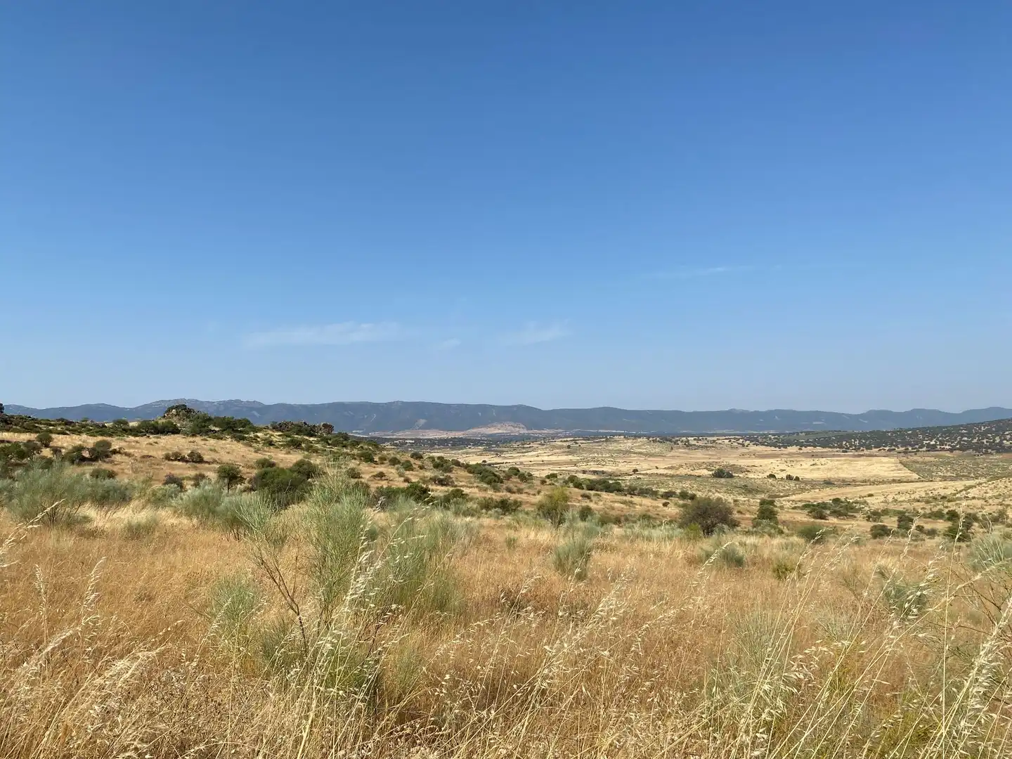 Grundstücke zum Verkauf in Aldeanueva de San Bartolomé