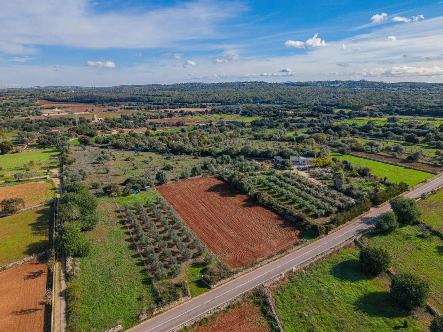 Terreny rústic en venda a Camino Camí de Vinyota, imagen 8