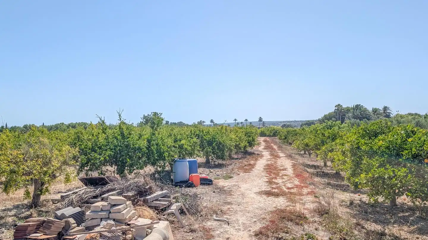 Casa o xalet en venda en Elche / Elx amb Aire condicionat, Jardí privat i Terrassa