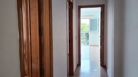 Foto 5 de Pis de lloguer a Calle Familia Espino, 57, Ingenio pueblo, Ingenio