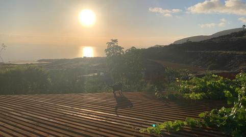 Foto 5 de Finca rústica en venda a A Cueva del Polvo, Alcalá, Santa Cruz de Tenerife