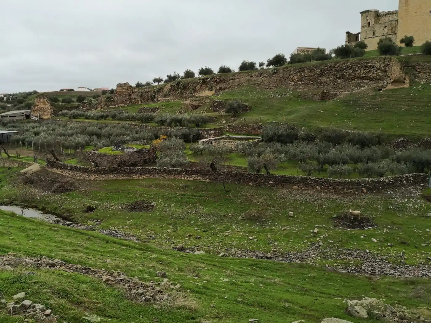 Finca rústica en venta en Belalcázar