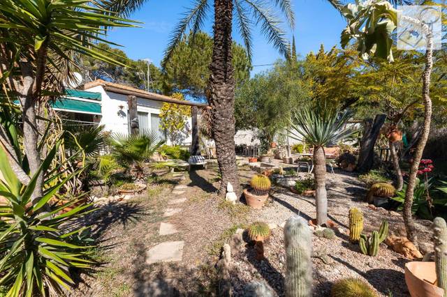 Casa-chalet en Venta en Lomas de Cabo Roig - Los Dolses