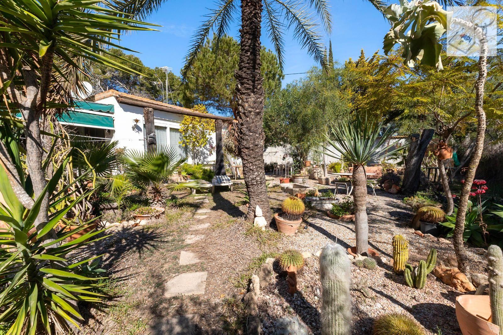 Jardí de Casa o xalet en venda en Orihuela