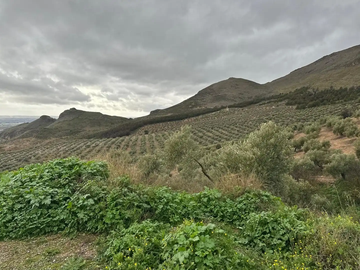 Terreni e lotti in vendita a Atarfe, imagen 10