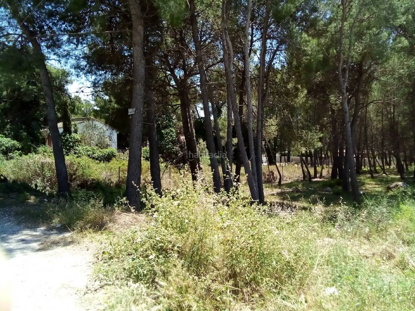 Terreny residencial en venda a Carrer Sabadell 40, imagen 4