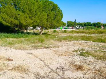 Terreno rustico in vendita a Ceutí