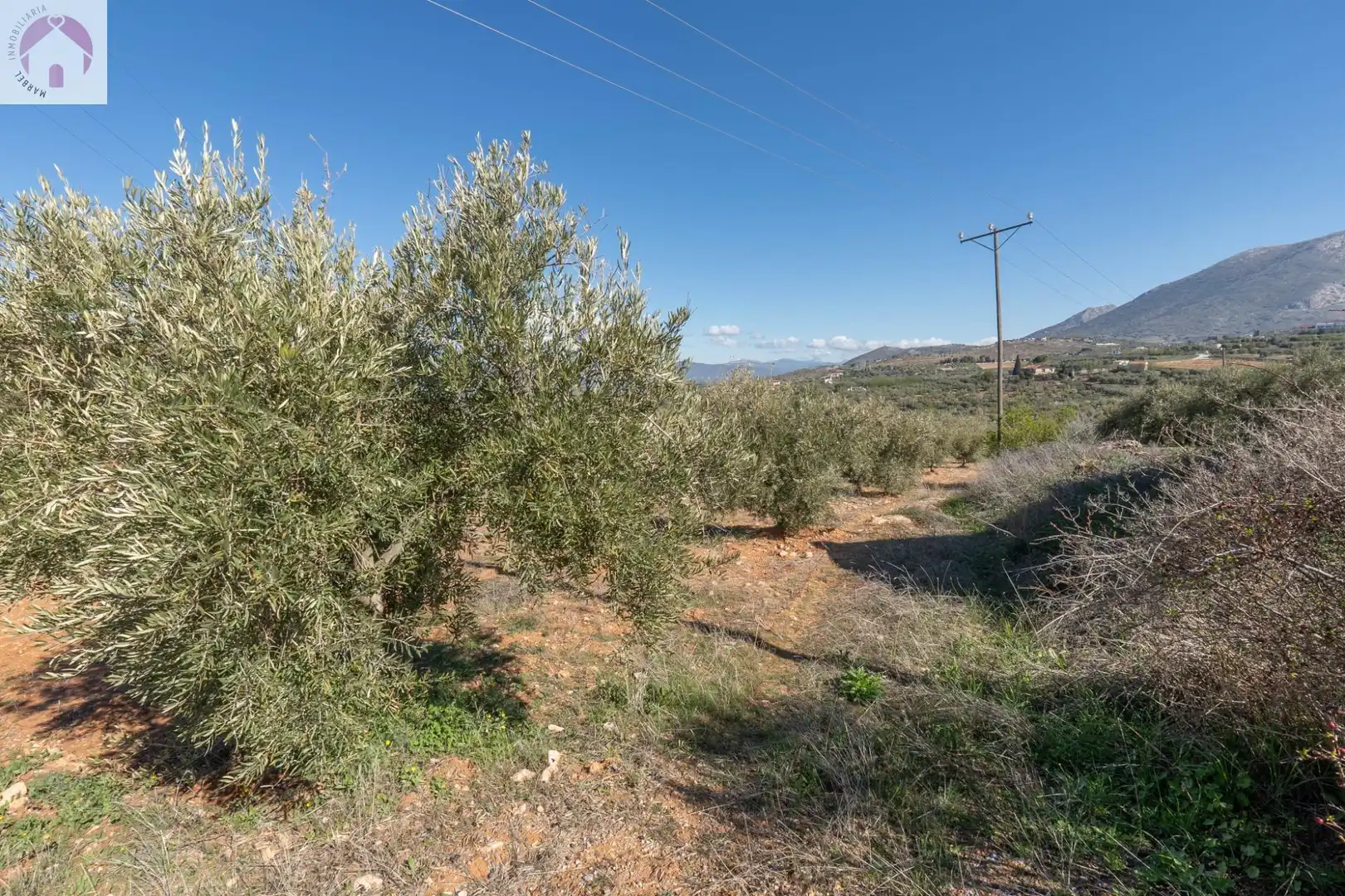 Terreni e lotti in vendita a Cogollos de la Vega, imagen 12