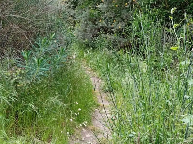 Terreno en venta en Pórtugos