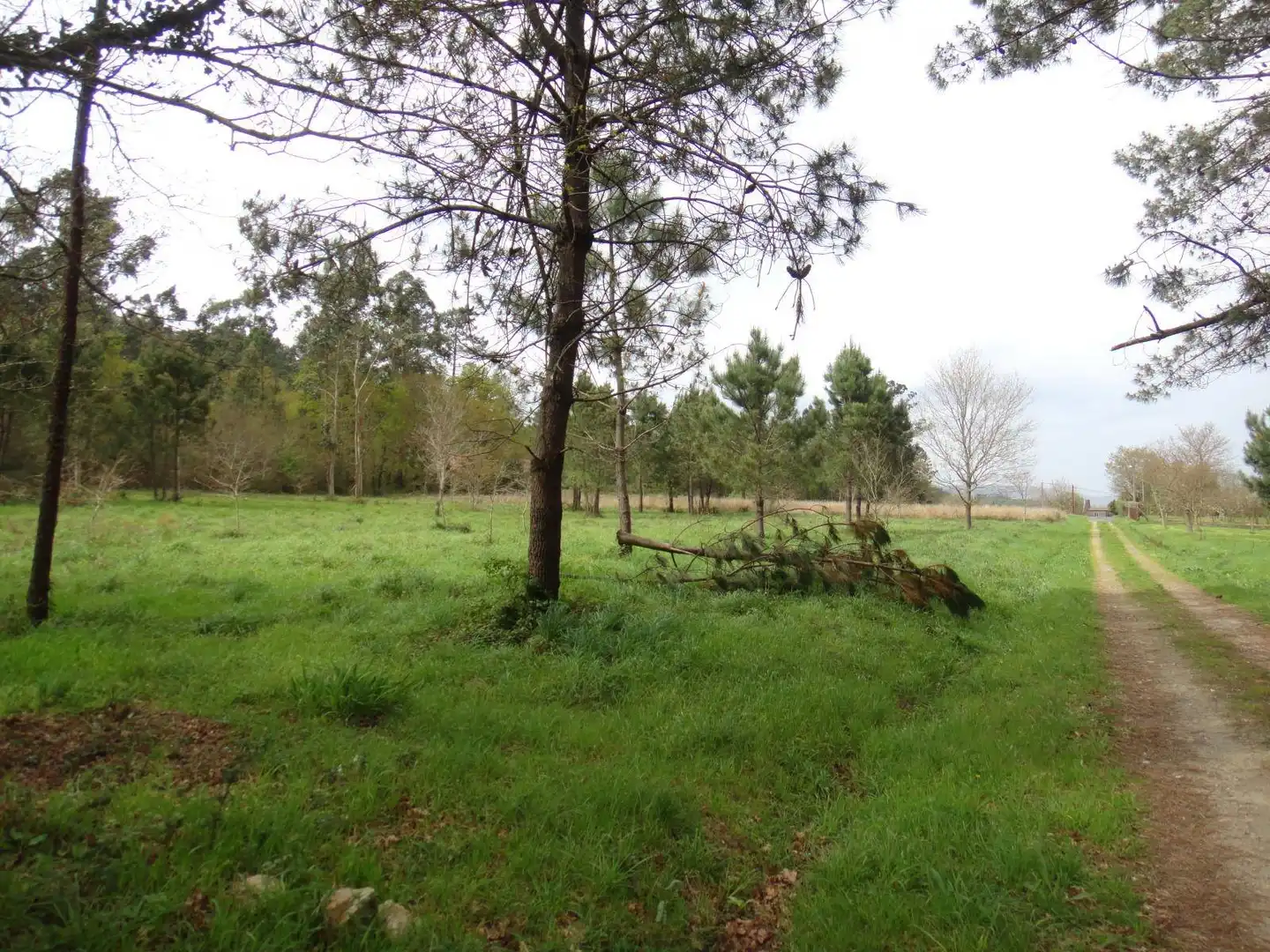 Lands and plots for sale in Brión, imagen 3