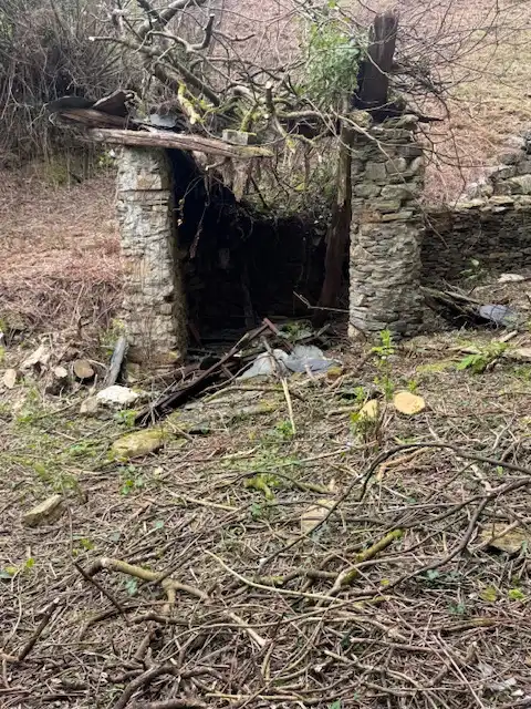 Vista exterior de Finca rústica en venta en Castropol