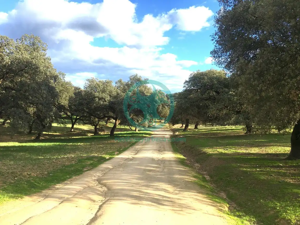 Außenansicht von Country house zur Miete in Cáceres mit Schwimmbad, Möbliert und Ofen