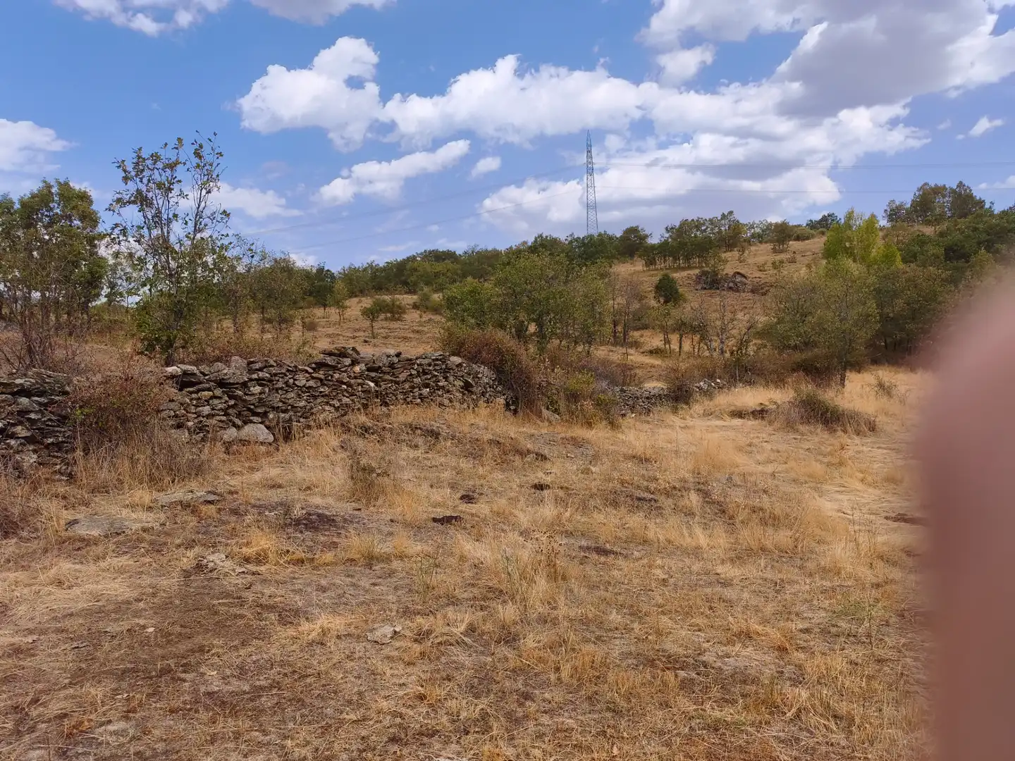 Terreno en venta en Piñuécar-Gandullas
