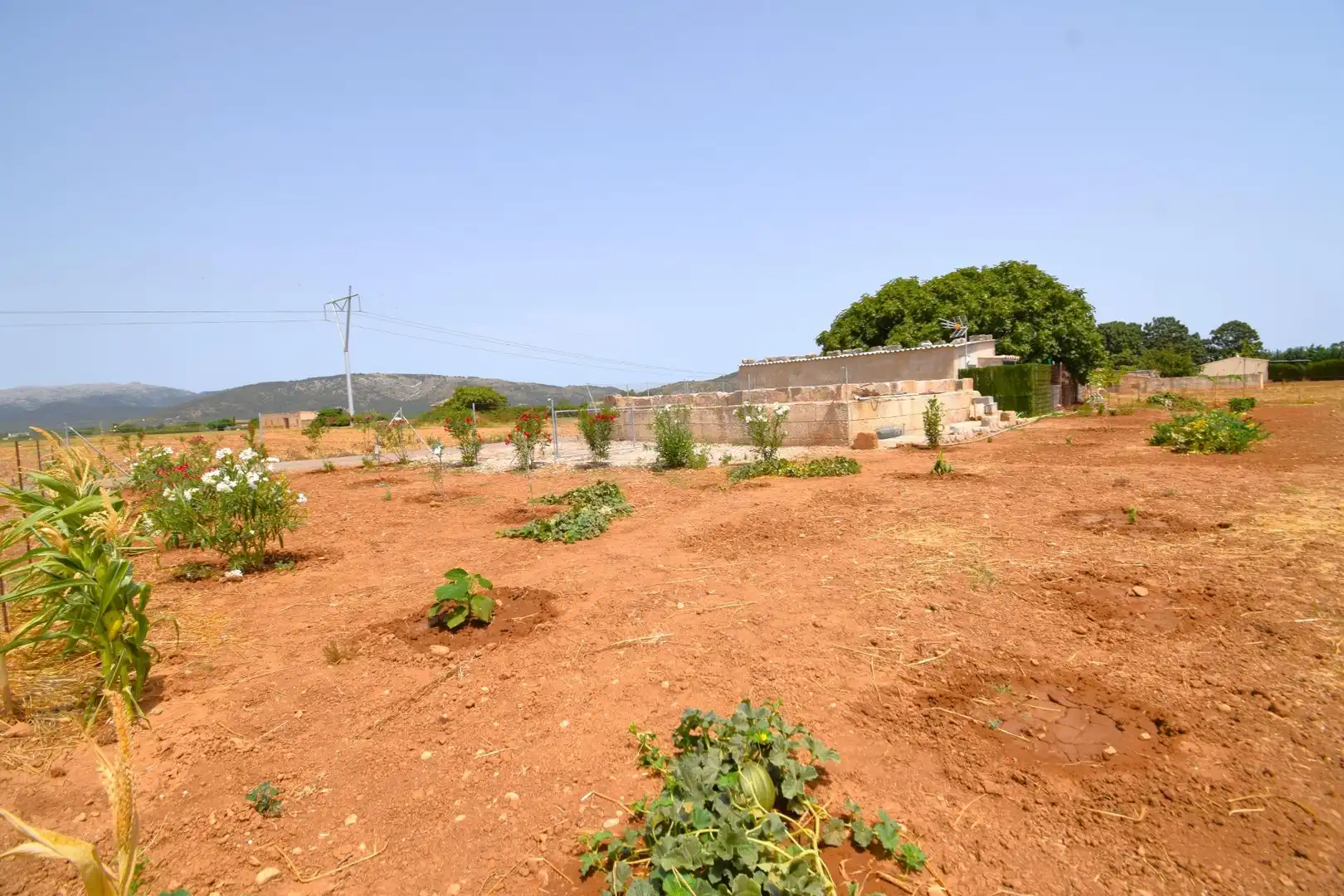 Finca rústica en venda en Sa Pobla amb Terrassa