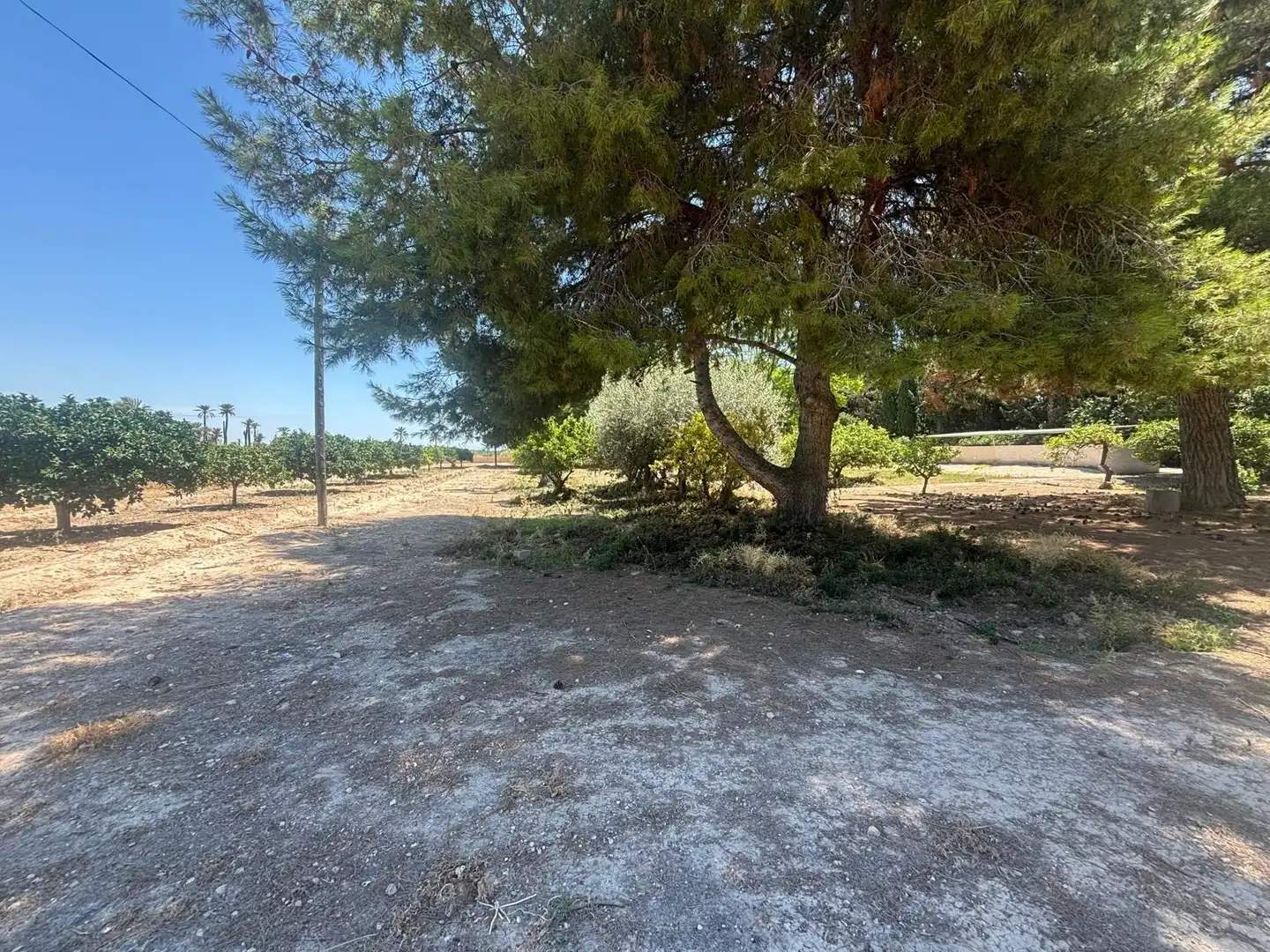 Houses for sale in Elche / Elx