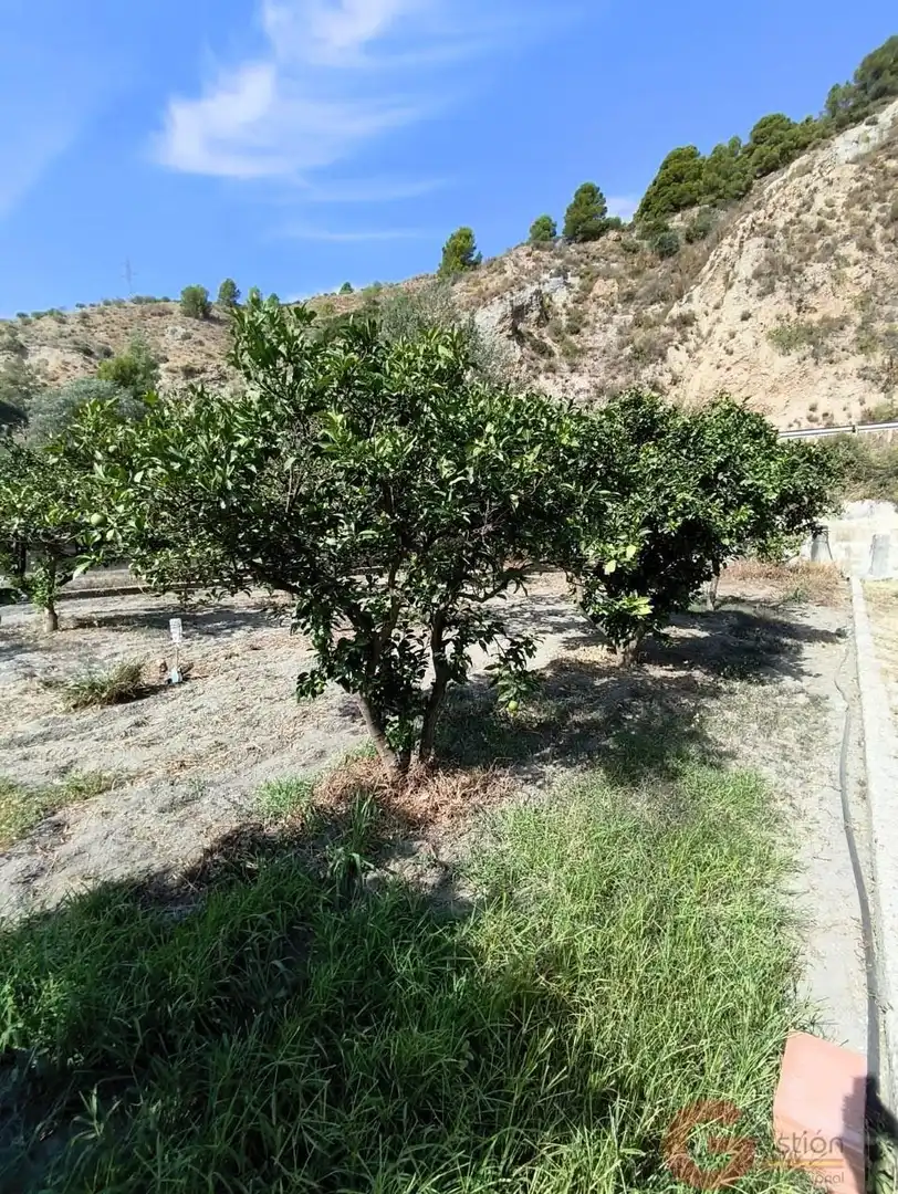 Country house for sale in Vélez de Benaudalla, imagen 19