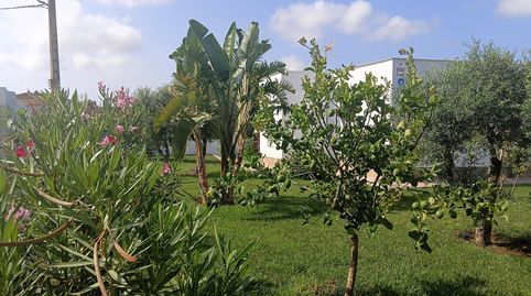 Foto 5 de Casa o xalet en venda a Barrio Nuevo, Conil de la Frontera