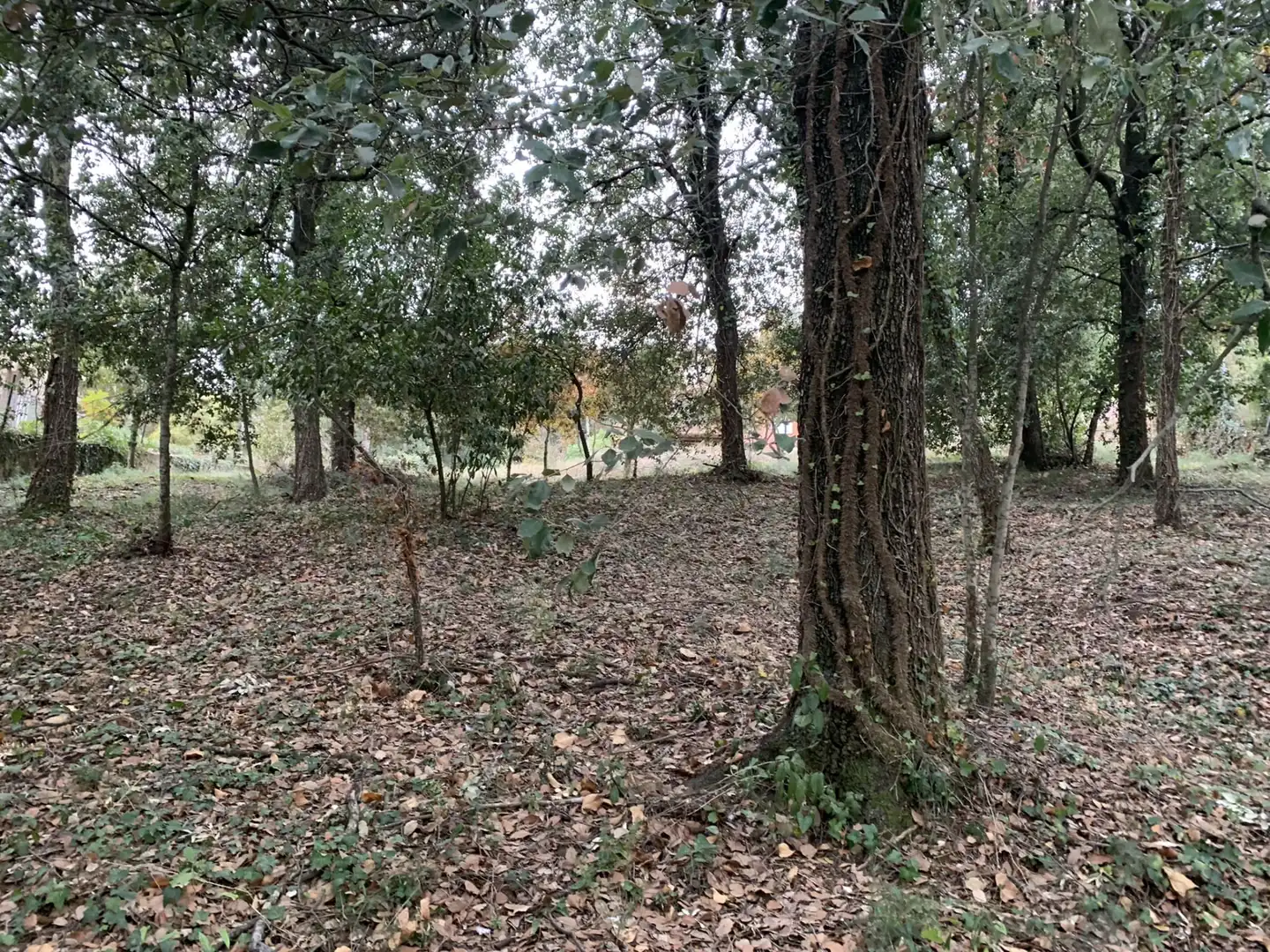 Terreno residencial en venta en Carrer Castelló 3, imagen 17
