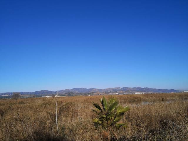 Terreno en Venta en Carrer Assutzena en La Llosa