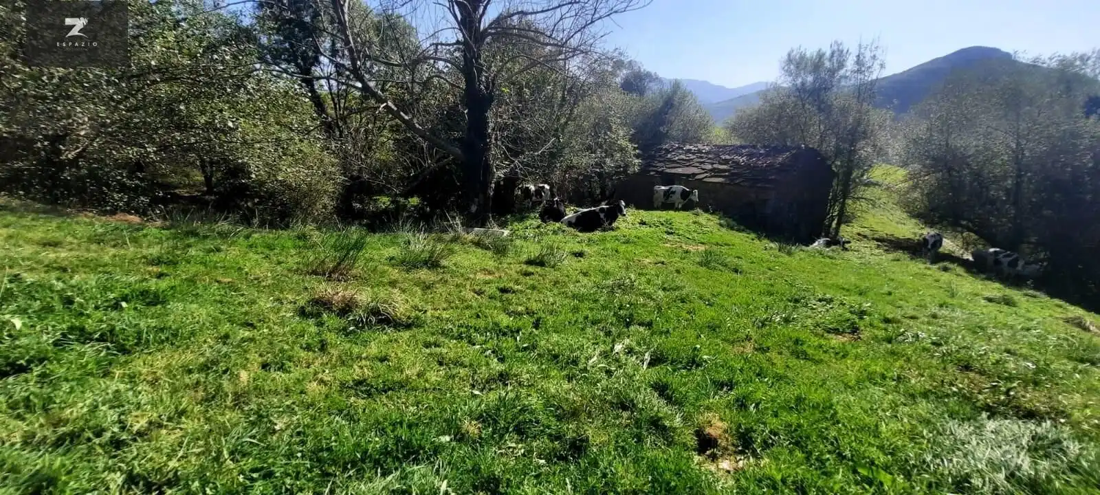 Houses for sale in San Roque de Riomiera