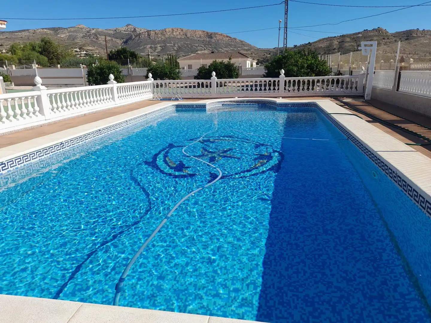 Piscina de Casa o xalet en venda en Alicante / Alacant amb Calefacció, Jardí privat i Terrassa