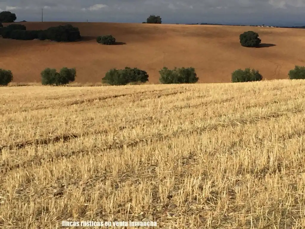 Terreni e lotti in vendita a Munera, imagen 3