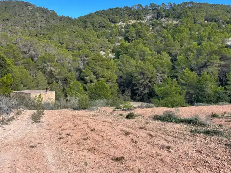 Finca rústica en venda en Sant Josep de sa Talaia